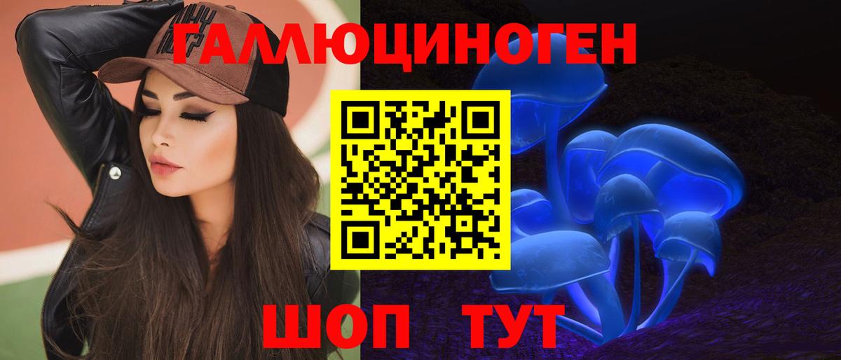 Псилоцибиновые грибы Psilocybine cubensis  Вход с VPN  Россия 