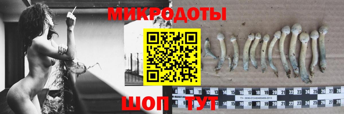 Псилоцибиновые грибы GOLDEN TEACHER Россия